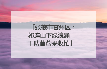 张掖市甘州区：祁连山下绿浪涌 千畴苜蓿采收忙