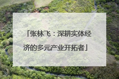 张林飞：深耕实体经济的多元产业开拓者