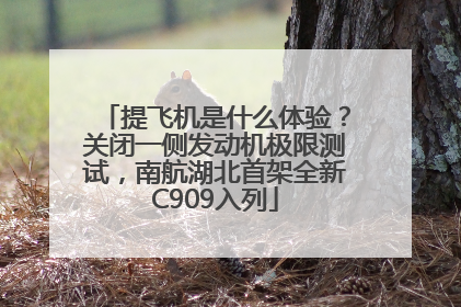 提飞机是什么体验？关闭一侧发动机极限测试，南航湖北首架全新C909入列