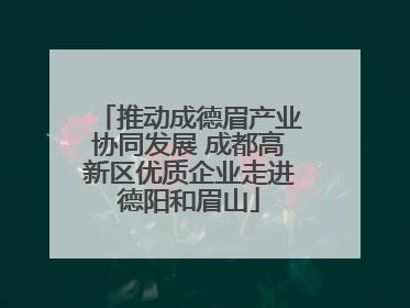 推动成德眉产业协同发展 成都高新区优质企业走进德阳和眉山