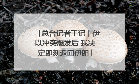 总台记者手记丨伊以冲突爆发后 我决定即刻返回伊朗