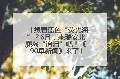 想看蓝色“荧光海”？6月，来瑞安北麂岛“追泪”吧！《90早新闻》来了