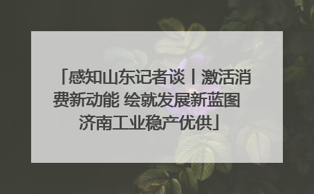 感知山东记者谈丨激活消费新动能 绘就发展新蓝图 济南工业稳产优供