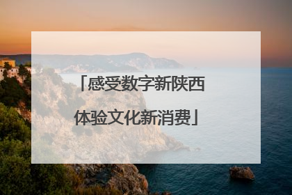 感受数字新陕西 体验文化新消费