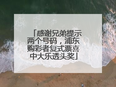 感谢兄弟提示两个号码，浦东购彩者复式票喜中大乐透头奖