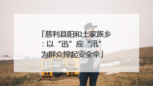 慈利县阳和土家族乡：以“迅”应“汛” 为群众撑起安全伞