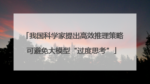 我国科学家提出高效推理策略 可避免大模型“过度思考”