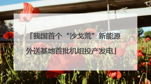 我国首个“沙戈荒”新能源外送基地首批机组投产发电