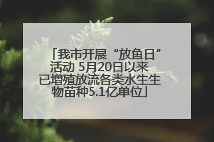 我市开展“放鱼日”活动 5月20日以来已增殖放流各类水生生物苗种5.1亿单位