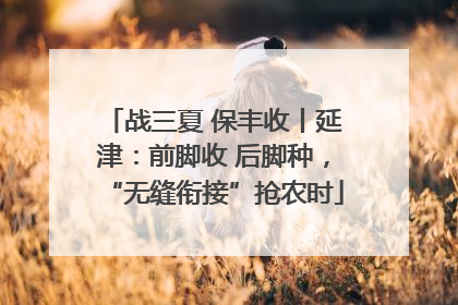 战三夏 保丰收丨延津：前脚收 后脚种，“无缝衔接”抢农时