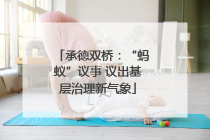 承德双桥：“蚂蚁”议事 议出基层治理新气象