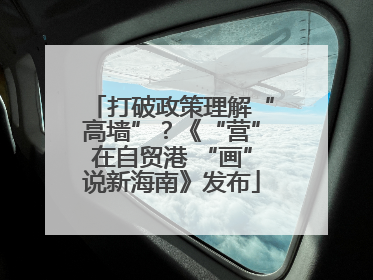 打破政策理解“高墙”？《“营”在自贸港 “画”说新海南》发布