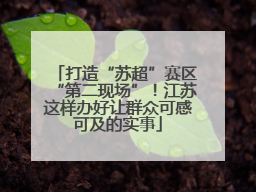 打造“苏超”赛区“第二现场”！江苏这样办好让群众可感可及的实事