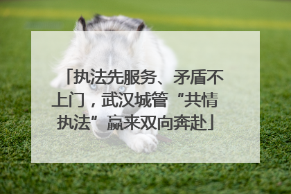 执法先服务、矛盾不上门，武汉城管“共情执法”赢来双向奔赴