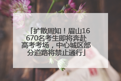 扩散周知！眉山16670名考生即将奔赴高考考场，中心城区部分道路将禁止通行