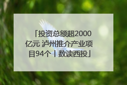 投资总额超2000亿元 泸州推介产业项目94个丨数读西投