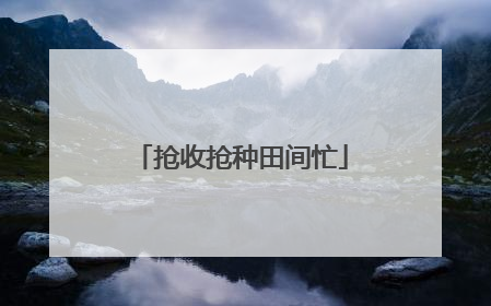 抢收抢种田间忙