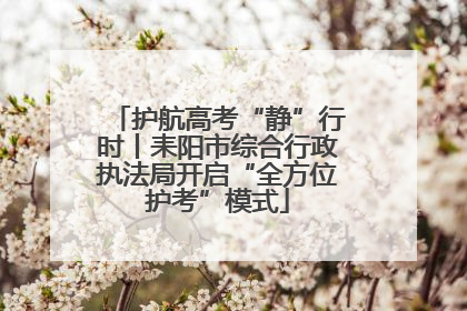 护航高考“静”行时丨耒阳市综合行政执法局开启“全方位护考”模式