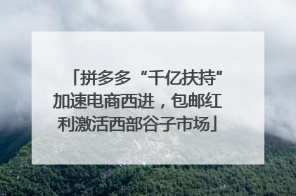 拼多多“千亿扶持”加速电商西进，包邮红利激活西部谷子市场