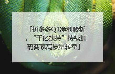 拼多多Q1净利腰斩，“千亿扶持”持续加码商家高质量转型