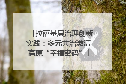 拉萨基层治理创新实践：多元共治激活高原“幸福密码”