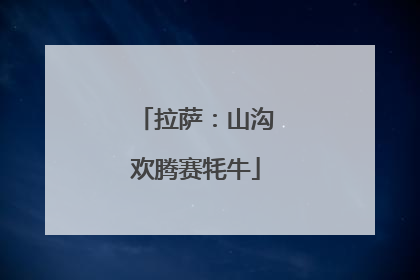 拉萨：山沟欢腾赛牦牛