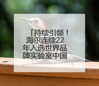 持续引领！海尔连续22年入选世界品牌实验室中国500最具价值品牌