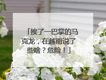 挨了一巴掌的马克龙，在越南说了些啥？危险！