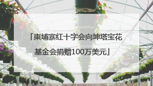 柬埔寨红十字会向坤塔宝花基金会捐赠100万美元
