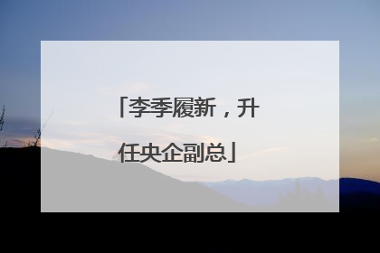 李季履新，升任央企副总