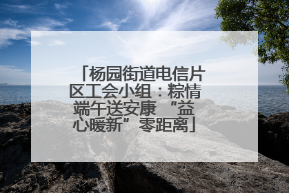 杨园街道电信片区工会小组：粽情端午送安康 “益心暖新”零距离