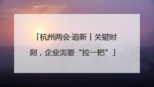 杭州两会·追新丨关键时刻，企业需要“拉一把”