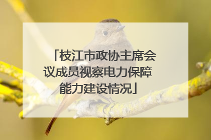 枝江市政协主席会议成员视察电力保障能力建设情况