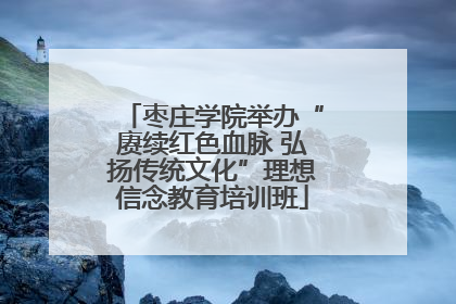 枣庄学院举办“赓续红色血脉 弘扬传统文化”理想信念教育培训班