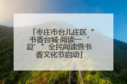 枣庄市台儿庄区“书香台城·阅读一‘夏’”全民阅读暨书香文化节启动
