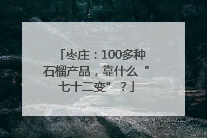枣庄：100多种石榴产品，靠什么“七十二变”？