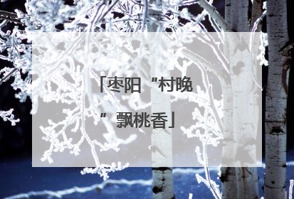 枣阳“村晚”飘桃香
