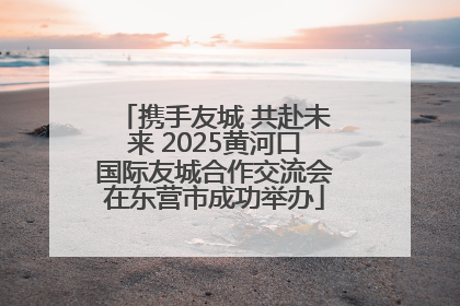 携手友城 共赴未来 2025黄河口国际友城合作交流会在东营市成功举办