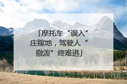 摩托车“误入”庄稼地，驾驶人“撒泼”终难逃