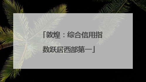 敦煌：综合信用指数跃居西部第一