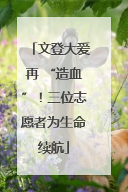 文登大爱再 “造血”！三位志愿者为生命续航