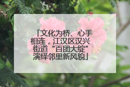 文化为桥、心手相连，江汉区汉兴街道“百团大绽”演绎邻里新风貌