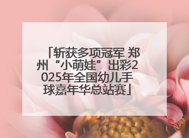 斩获多项冠军 郑州“小萌娃”出彩2025年全国幼儿手球嘉年华总站赛