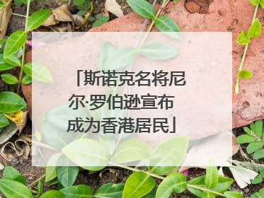 斯诺克名将尼尔·罗伯逊宣布成为香港居民