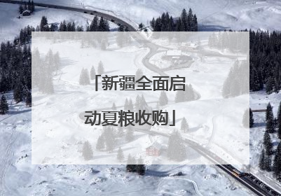 新疆全面启动夏粮收购