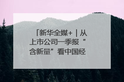新华全媒+｜从上市公司一季报“含新量”看中国经济发展向“新”
