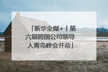 新华全媒+丨第六届跨国公司领导人青岛峰会开幕
