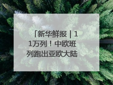 新华鲜报｜11万列！中欧班列跑出亚欧大陆“新时速”