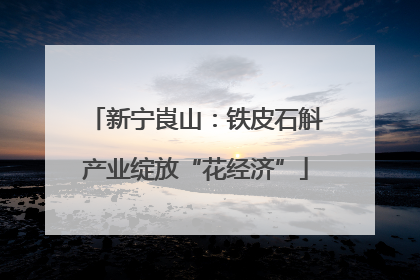 新宁崀山：铁皮石斛产业绽放“花经济”