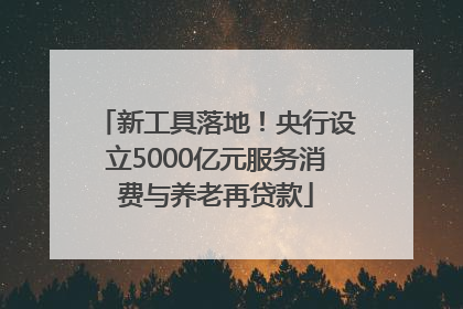 新工具落地！央行设立5000亿元服务消费与养老再贷款